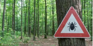 cuidado con las garrapatas sinp.ch