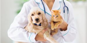 Animali domestici sinp.ch