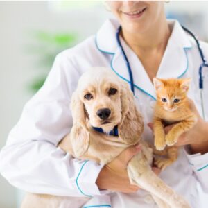 Assicurazione animali domestici sinp.ch