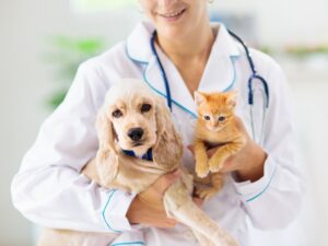 Assicurazione animali domestici sinp.ch