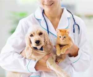 animali domestici sinp.ch