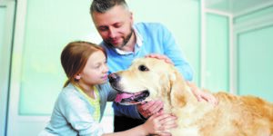 Assicurazione animali domesti sinp.ch